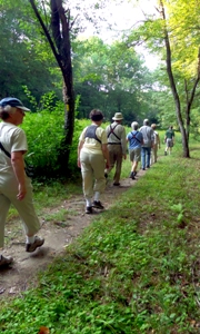 Heath Hen Meadows, September 6, 2014. Photo by Susan Page.