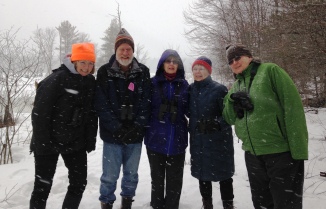 Intrepid Boxborough Birders in the snow. Photo by Rita Grossman.