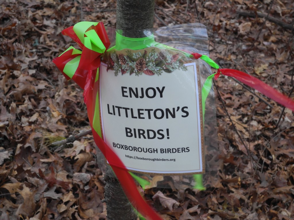Enjoy Littleton's Birds